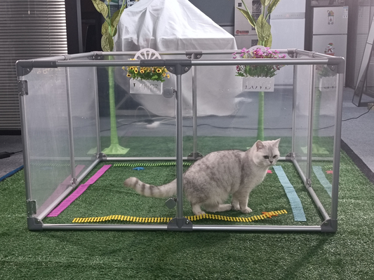 Pet Playpen Kennel im Hausmodestil mit Pulverbeschichtung und Elektrophorese