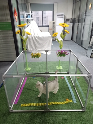 Abnehmbare Acryl-Aluminium-Großhunde-Spielhalle für Schwerlast-Haustier-Sicherheitszaun