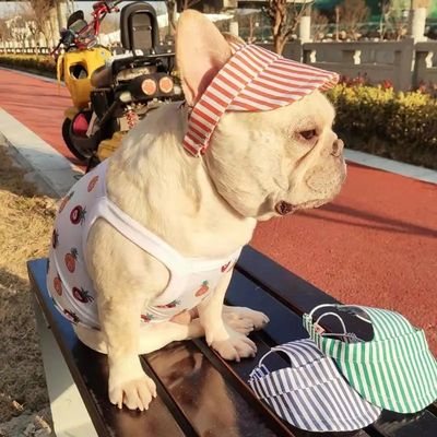 Mode Haustiere Logo Hut Haustier beliebter Hut Ende Hund Welpenhut beliebter kleiner Hund niedliches Zubehör