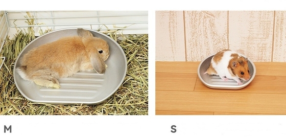 Bleiben Sie diesen Sommer kühl mit unserem Kühl-Katzen Topf akzeptabel OEM ODM Aluminium-Becken