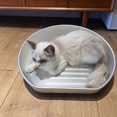 Bleiben Sie diesen Sommer kühl mit unserem Kühl-Katzen Topf akzeptabel OEM ODM Aluminium-Becken