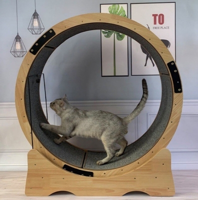 Katzenkletterrahmen Fiberboard Katzenrad Laufband Stille Bewegung Laufspielzeug für Katzen