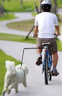 Outdoor-Haustier-Laufrad-Hundeleine Hände kostenlose Fahrradleine für schwarze Hunde