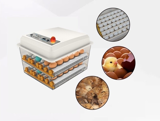 16 Eier Digitale Mini-automatische Brutstube für andere Haustierprodukte im Schiffshafen