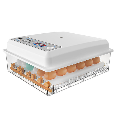 16 Eier Digitale Mini-automatische Brutstube für andere Haustierprodukte im Schiffshafen