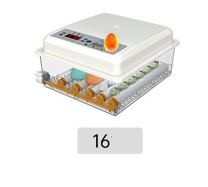 16 Eier Digitale Mini-automatische Brutstube für andere Haustierprodukte im Schiffshafen