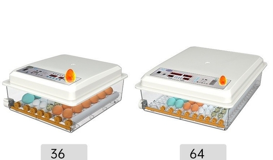 16 Eier Digitale Mini-automatische Brutstube für andere Haustierprodukte im Schiffshafen