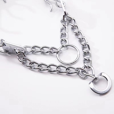 Silberner Hundehalsband für die Ausbildung von Haustieren Aheasoun Prong Halsband Schluckhalsband Schnapphalsband