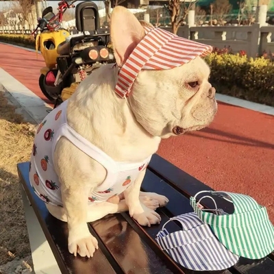 Haustier Outdoor-Sport-Hüte mit Ohrloch verstellbarer Baseballkappe für Hunde in Druckmuster
