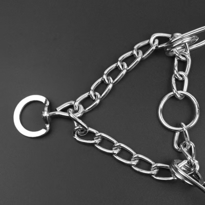 Design Metall abnehmbare Hunde-Training-Kette Kragen für personalisierte Tier-Training