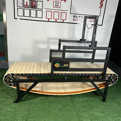 Indoor Pet Laufband mit Edelstahl Konstruktion Custom Logo und Leistung