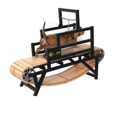 Indoor-Sport-Hunde-Übungsmaschine kundenspezifisches Laufband für Laufen und Sport