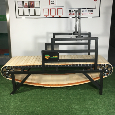 Eisen Alipetsmile Version 2.0 Treadmill für Haushalte Hunde Die ultimative Trainingsinvestition