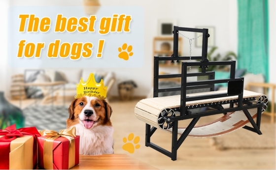 Eisen Alipetsmile Version 2.0 Treadmill für Haushalte Hunde Die ultimative Trainingsinvestition