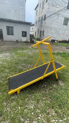 Farbenfrohe Klapphose für Hunde Laufband Stahl Agilitätsausrüstung für Hunde in langlebigem Design