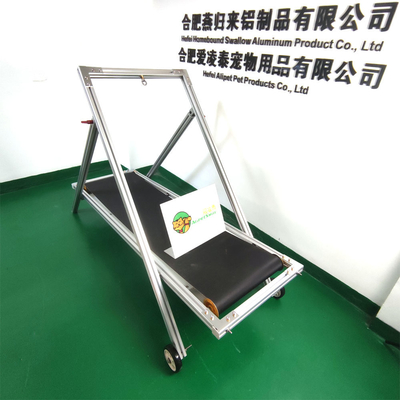 Schnelle Lieferung nach Shanghai oder Nanjing Port Hundetreadmill für mittlere und große Hunde