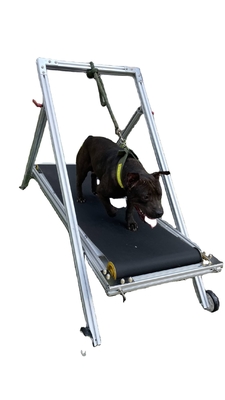 Aluminium mittlere große Hunde Teppichmühle für Laufen und Training akzeptabel OEM ODM Option