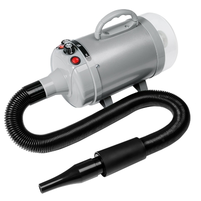 Hohe Leistung 2100W Blassauge Doppelmotor Haartrockner für Haustiere für Hunde OEM ODM akzeptabel