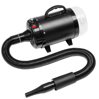 Hohe Leistung 2100W Blassauge Doppelmotor Haartrockner für Haustiere für Hunde OEM ODM akzeptabel