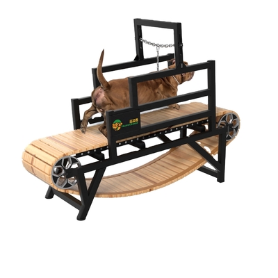 Indoor Home Dog Treadmill Halten Sie Ihr Haustier fit und gesund mit unserer nachhaltigen Lösung
