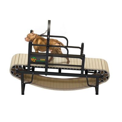 Indoor Home Dog Treadmill Halten Sie Ihr Haustier fit und gesund mit unserer nachhaltigen Lösung