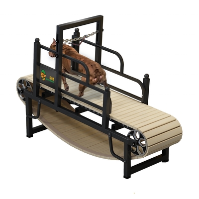 Indoor Home Dog Treadmill Halten Sie Ihr Haustier fit und gesund mit unserer nachhaltigen Lösung