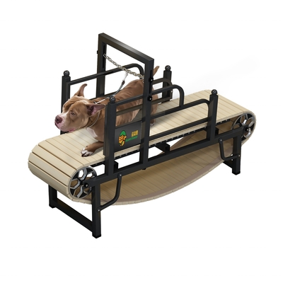 Indoor Home Dog Treadmill Halten Sie Ihr Haustier fit und gesund mit unserer nachhaltigen Lösung