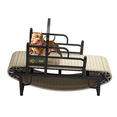 Indoor Home Dog Treadmill Halten Sie Ihr Haustier fit und gesund mit unserer nachhaltigen Lösung