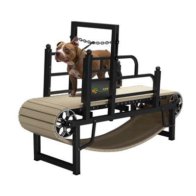 Indoor Home Dog Treadmill Halten Sie Ihr Haustier fit und gesund mit unserer nachhaltigen Lösung