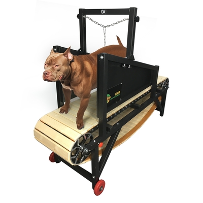 Mechanische Hundelaufbahn für große Hunde Akzeptabel OEM ODM Räder Design enthalten
