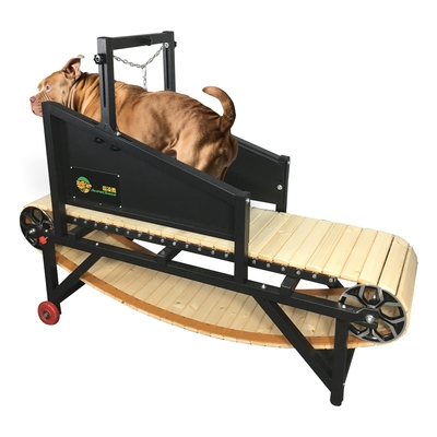 Mechanische Hundelaufbahn für große Hunde Akzeptabel OEM ODM Räder Design enthalten