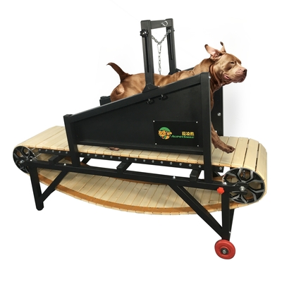 Mechanische Hundelaufbahn für große Hunde Akzeptabel OEM ODM Räder Design enthalten