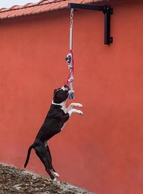 Black Dog-Federstange für starke Ladungsschiffe aus dem Hafen von Shanghai oder Nanjing