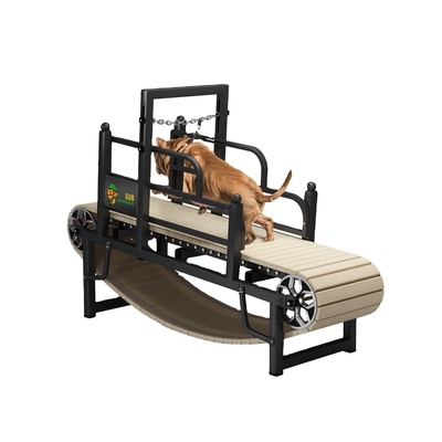 Spezielle Eisen-Schiefermühlen für große Hunde Geräuschlose Trainingsgeräte 175cm*52cm*130cm