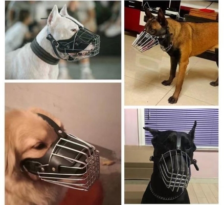 Leder für kleine Welpen für Pitbull Shepherd und Retriever