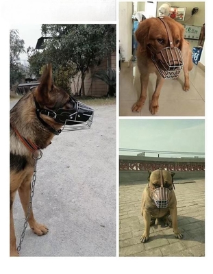 Leder für kleine Welpen für Pitbull Shepherd und Retriever