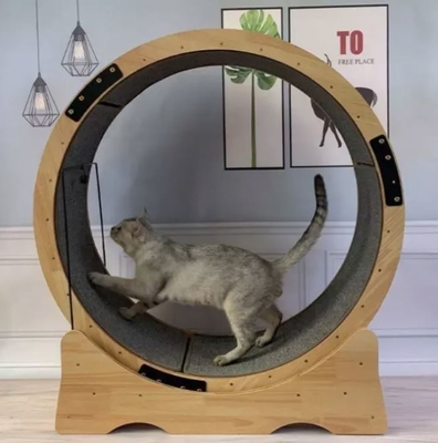 Customized 0,30mm Dicke Katze Kratzbrett für kleine Tiere USA Markt Spaß Laufband
