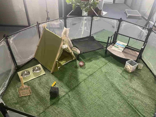 Portable Pet Playpen für Innen-/Außenbereiche, angepasste Farbe 6/8/10/12 Stück Knopfverschluss