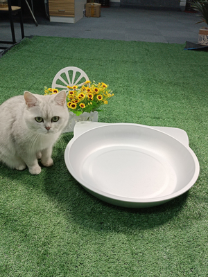 Direkt von den Herstellern geliefert 38*38cm/45*45cm Kühlbettnest für Katzen und Hunde