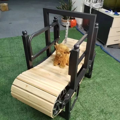 Personalisierte Größe Pet Training Laufband für kleine Hunde Nachhaltiges Verhalten Produkte