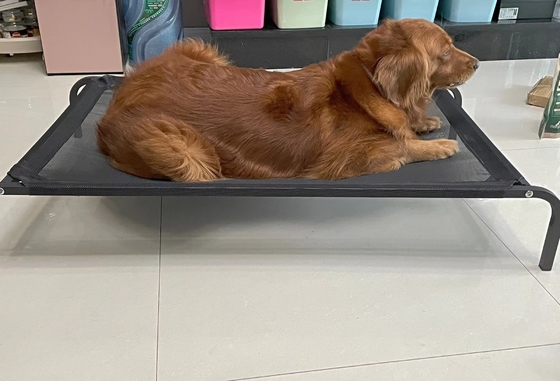 Pulverbeschichtetes Hochbett für Hunde mit atmungsaktivem Design und wasserdichtem Material