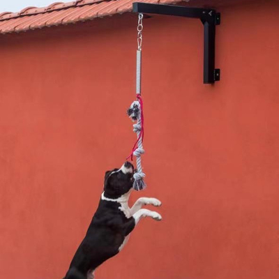Stahl-Hunde-Federstäbe Set starke und langlebige Trainingsgeräte für Haustiere