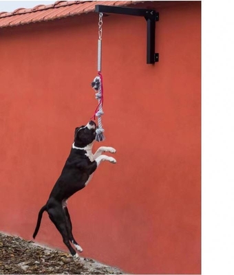 Robuste Stahlfederstange für mittlere und große Hunde bis zu 105 lbs/210 lbs