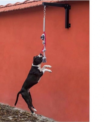 Wirksame Federstange für Hunde-Training Übung und Fitness