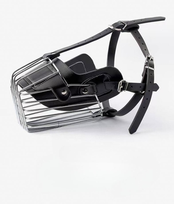 Tier-Training Essential Solid Metal und Leder Hunde Maulkorb mit farbenfroher Dekoration
