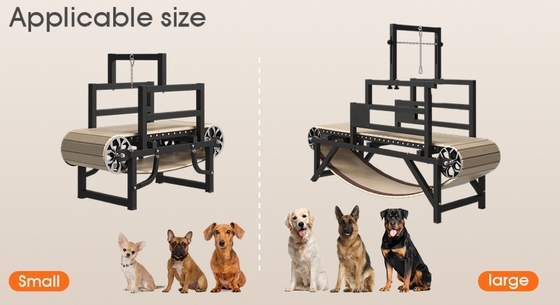 Alipetsmile Version 2.0 Holzhundlaufband nimmt Hunde Fitness auf die nächste Stufe