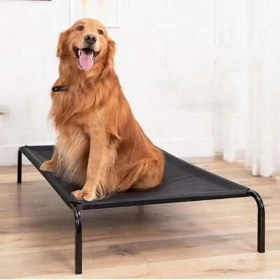 Portable XL Edelstahl-Haustierbett mit erhöhtem Design und Tierdarstellung