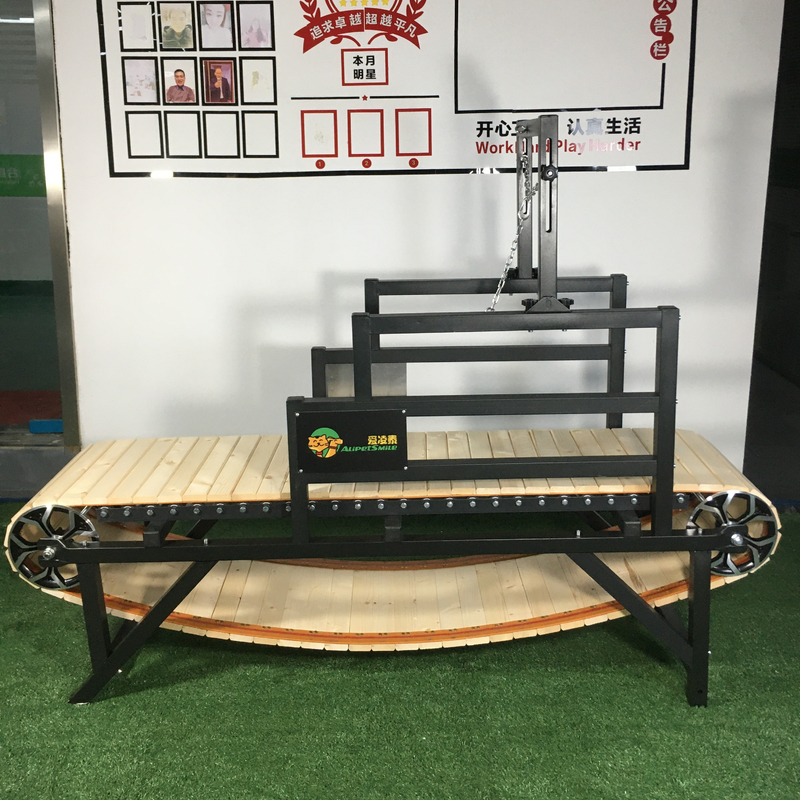 Alipetsmile Pet Dog Laufband Gehmaschine angepasste Größe und Muster für das Training