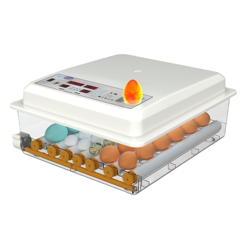 16 Eier Digitale Mini-automatische Brutstube für andere Haustierprodukte im Schiffshafen
