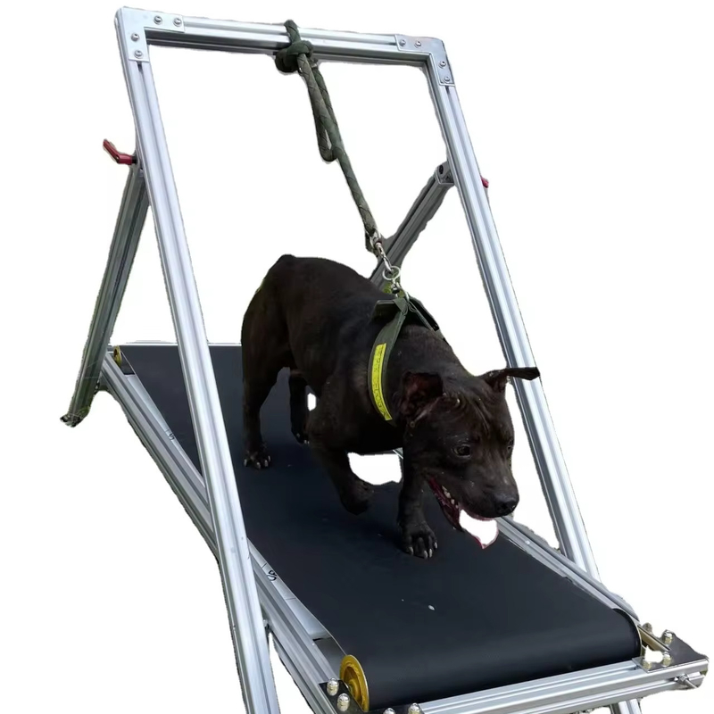 Hundeübung Schlittenmühle Haustiere Laufband Gehmaschine für Pit Bull